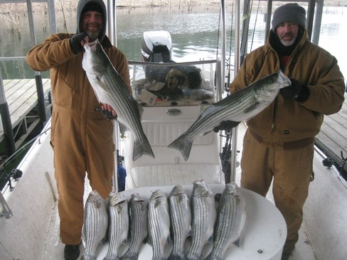 Nice Striped Bass